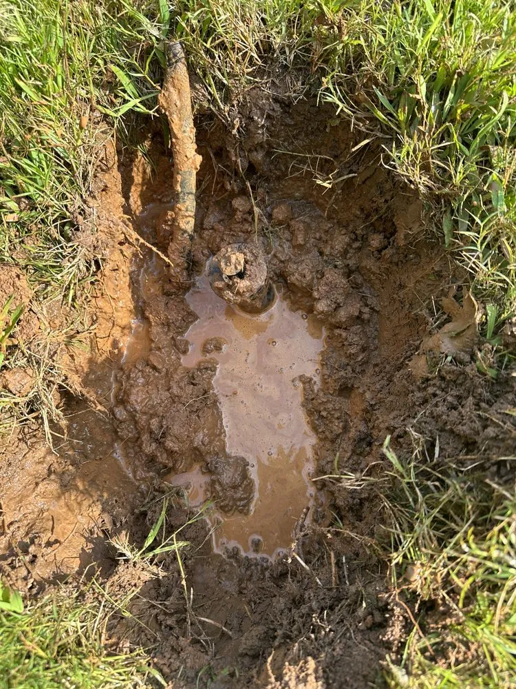 Custom outdoor landscaping in Atlanta, GA by Saved By A Bell Irrigation