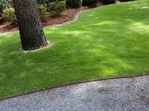 Affordable yard maintenance in Candor, NC - Savedra's Landscaping