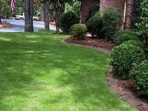 Reliable landscape design for year-round maintenance across Candor, NC - Savedra's Landscaping