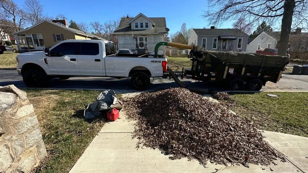 Affordable yard cleanup service for outdoor upgrades across Hanover, MD - SaveGreene Landscape