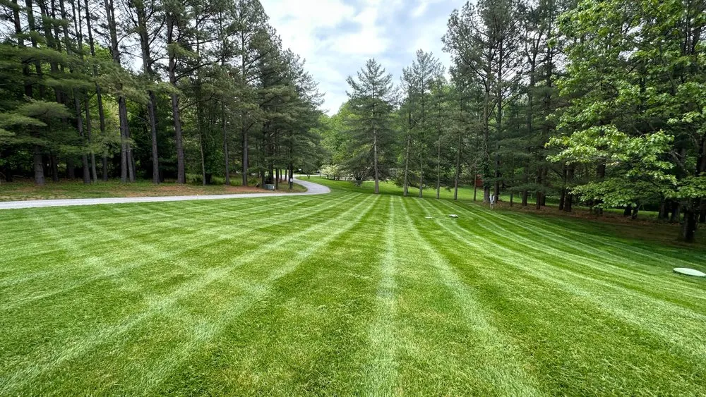 Reliable lawn care service experts serving Hanover, MD - SaveGreene Landscape