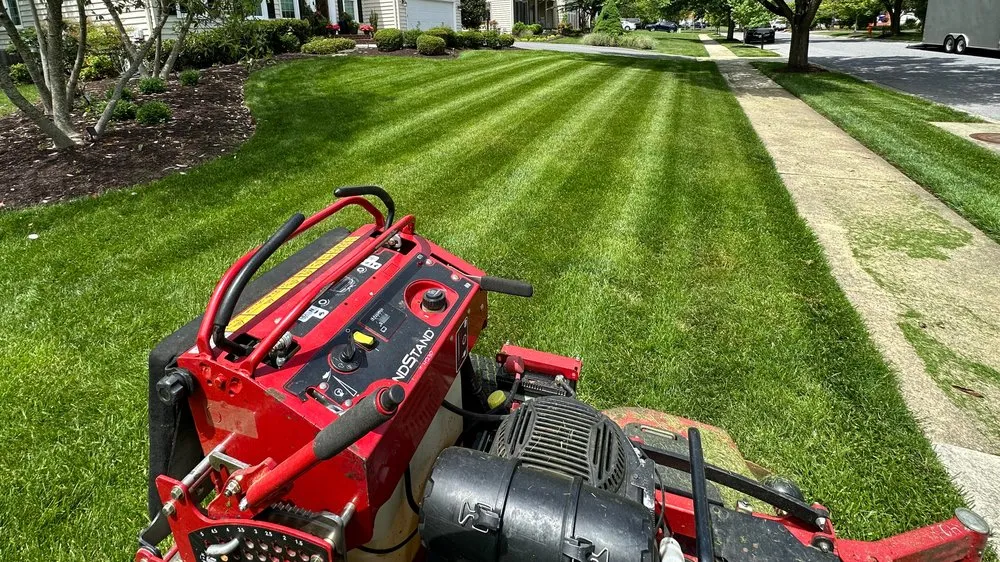 Expert yard maintenance for homes in Hanover, MD by SaveGreene Landscape