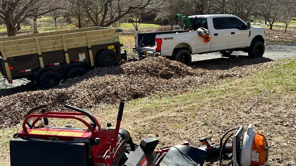 Professional yard cleanup service for beautiful yards in Hanover, MD by SaveGreene Landscape