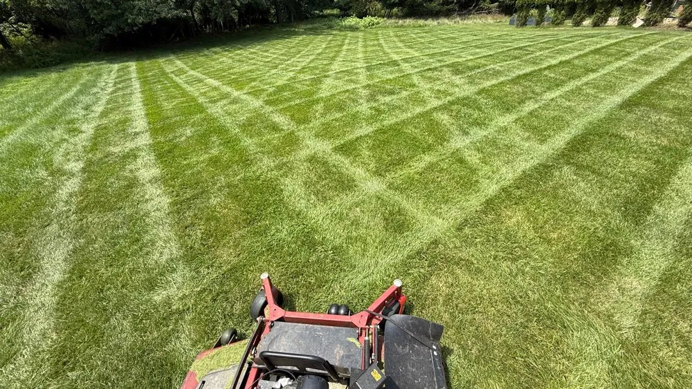 Local lawn care service with custom design in Hanover, MD by SaveGreene Landscape