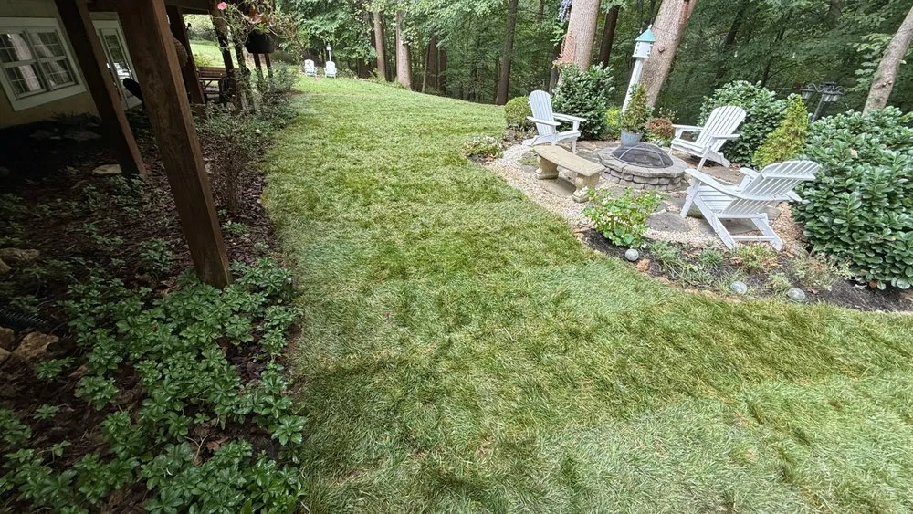 Top-rated landscape installation experts serving Hanover, MD - SaveGreene Landscape