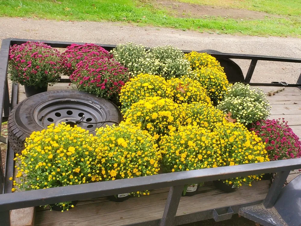 Professional residential landscaping for outdoor upgrades across Dartmouth, MA - Savery Property Management