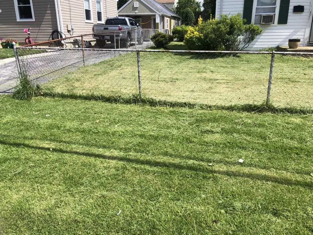 Reliable landscaping services experts serving District Heights, MD - Saves U Time