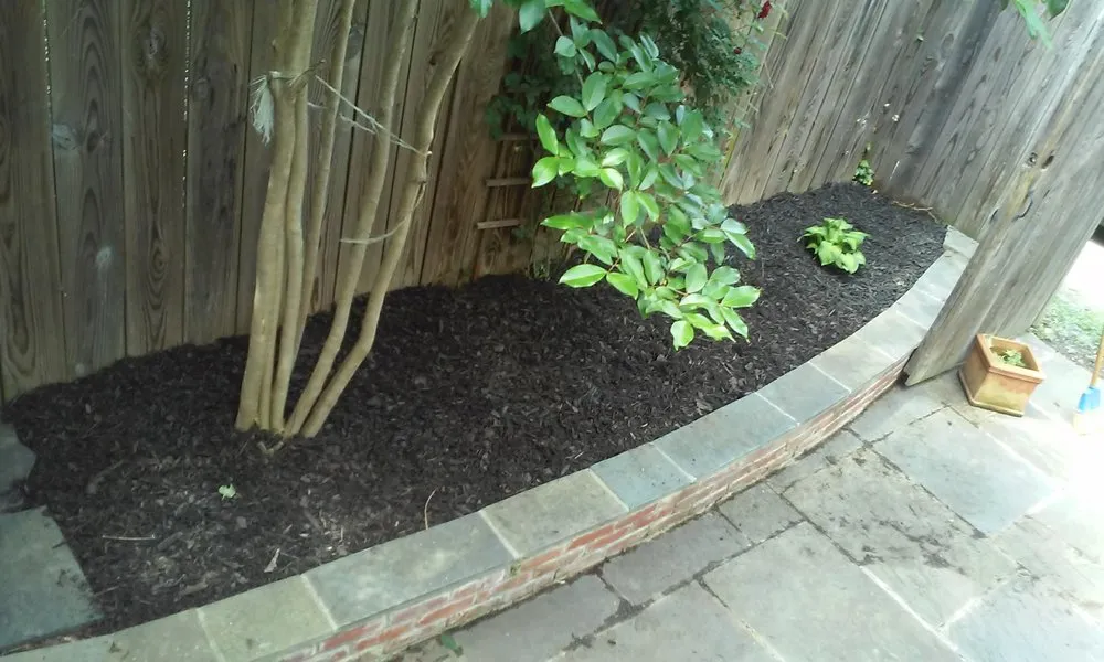 Trusted residential landscaping for year-round maintenance across District Heights, MD - Saves U Time