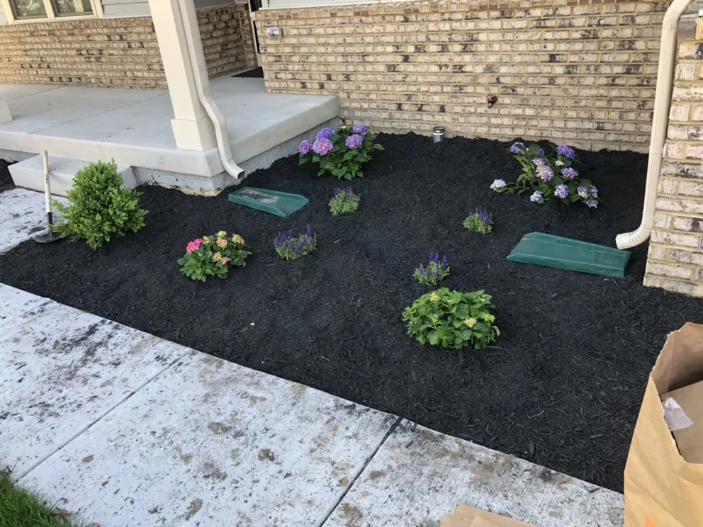 Top-rated outdoor landscaping for beautiful yards in District Heights, MD by Saves U Time