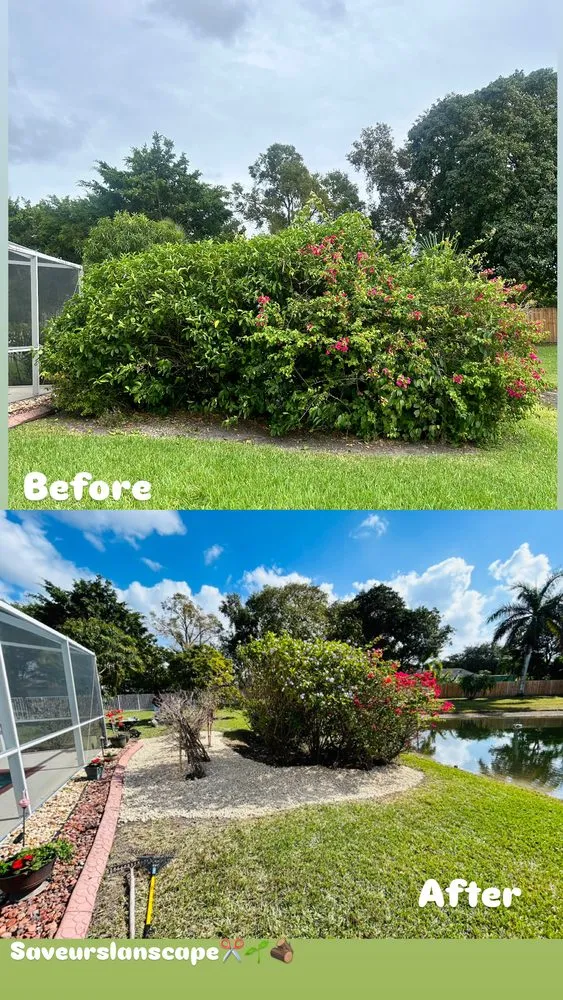 Local residential landscaping in Davie, FL by Saveurs Landscape & Design