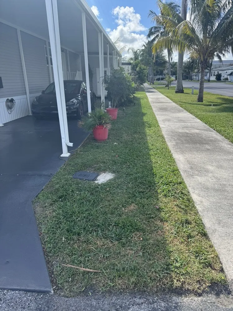 Top-rated lawn care service for year-round maintenance across Davie, FL - Saveurs Landscape & Design