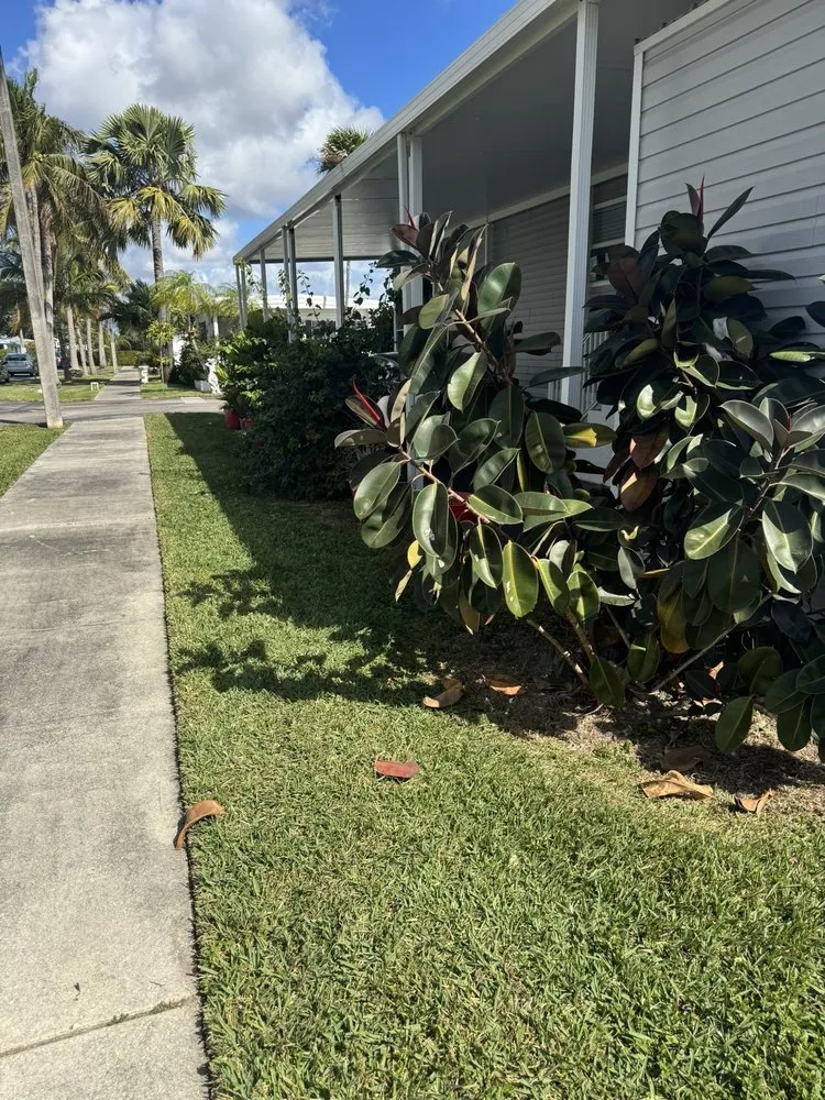 Expert outdoor landscaping in Davie, FL - Saveurs Landscape & Design