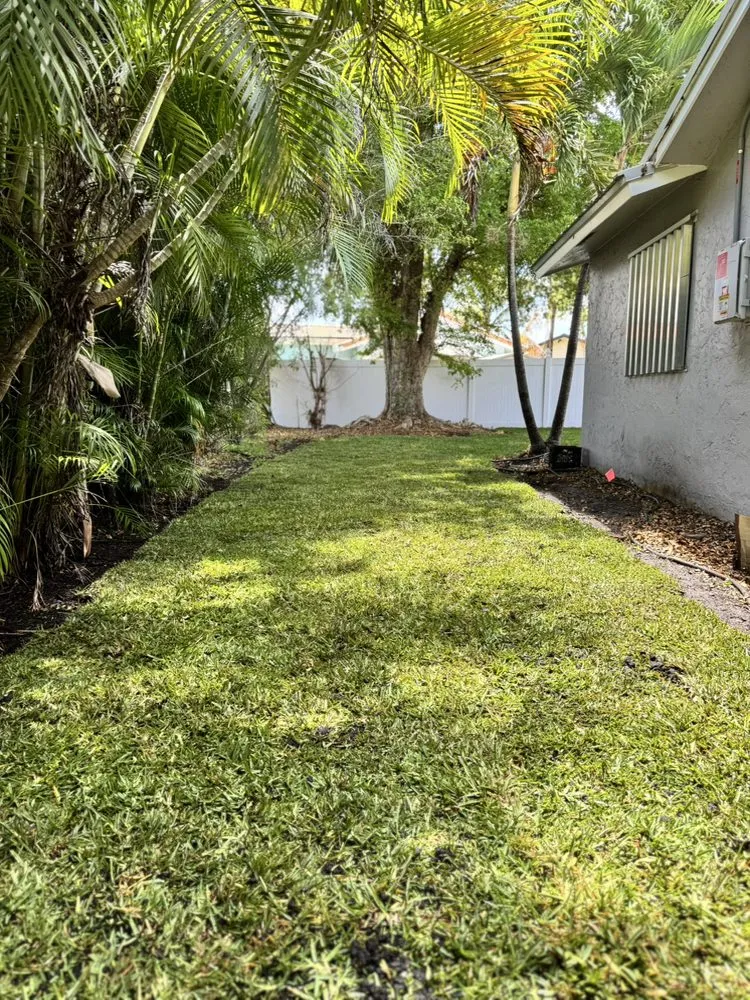 Local landscaping services for year-round maintenance across Davie, FL - Saveurs Landscape & Design