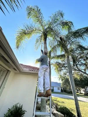 Saveurs Landscape & Design