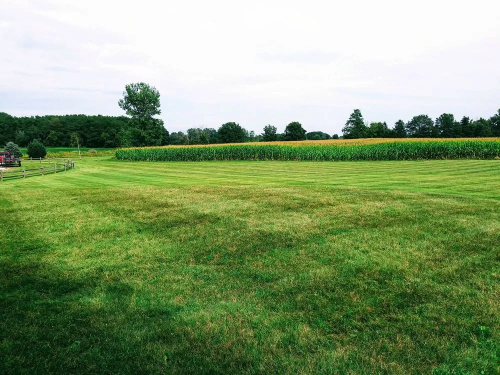 Affordable landscape installation in Midland, MI - Saving Grace Lawn Care