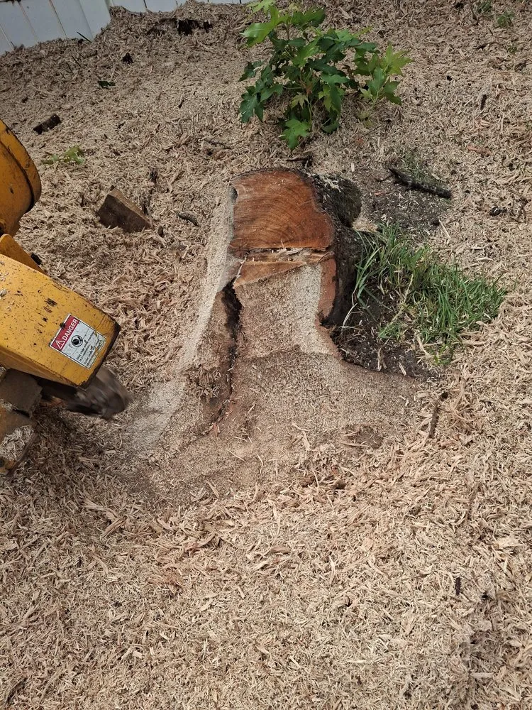 Local garden landscaping for beautiful yards in Myrtle Beach, SC by Saving Grace Tree & Landscape