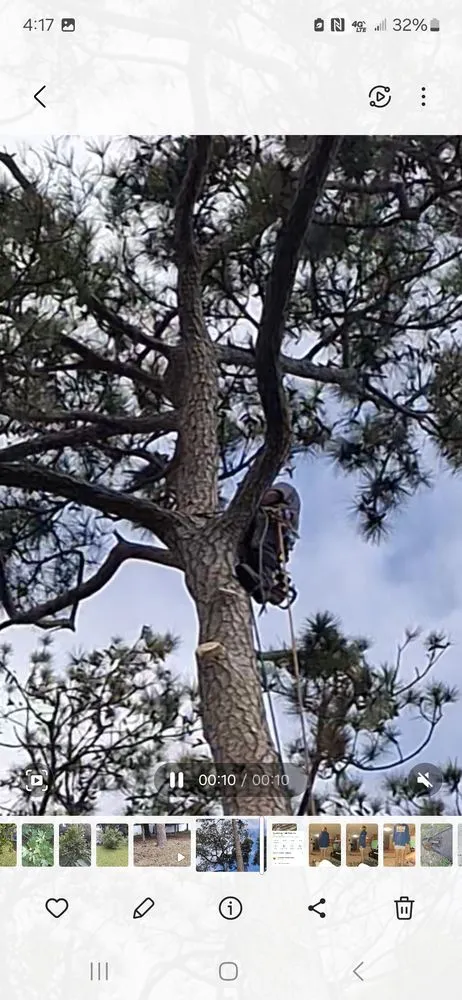 Reliable lawn care service near you in Myrtle Beach, SC by Saving Grace Tree & Landscape