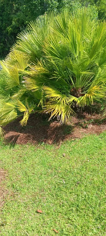 Custom garden landscaping experts serving Myrtle Beach, SC - Saving Grace Tree & Landscape