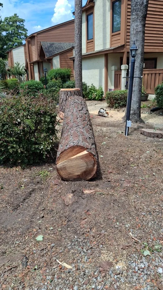 Local landscaping services for year-round maintenance in Myrtle Beach, SC by Saving Grace Tree & Landscape