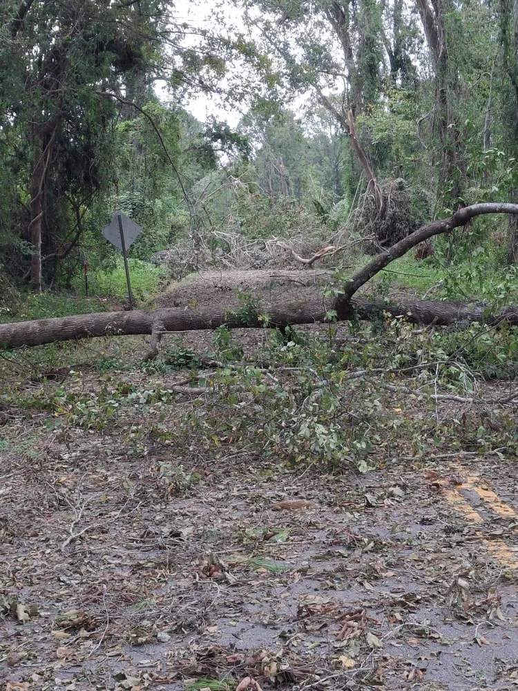 Top-rated outdoor landscaping in Myrtle Beach, SC - Saving Grace Tree & Landscape