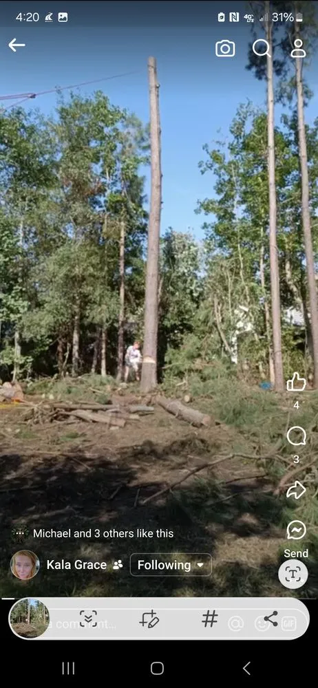 Professional landscape design in Myrtle Beach, SC - Saving Grace Tree & Landscape