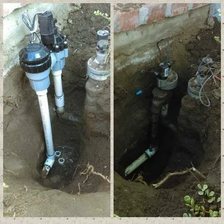 Local garden landscaping in Fresno, CA - Saving Green