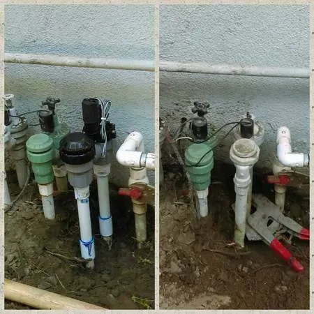 Professional yard cleanup service for homes across Fresno, CA - Saving Green