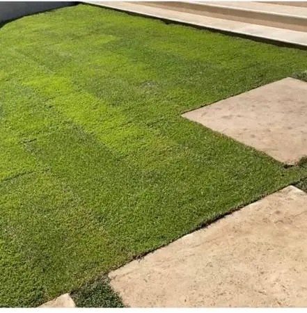 Custom lawn mowing service for year-round maintenance in Fresno, CA by Saving Green