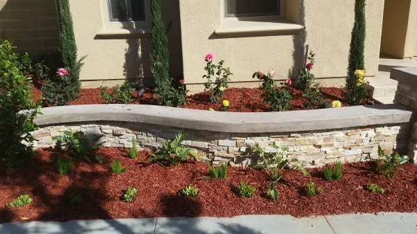 Top-rated lawn mowing service near you in Fresno, CA by Saving Green