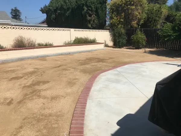 Reliable landscape installation experts serving Fresno, CA - Saving Green