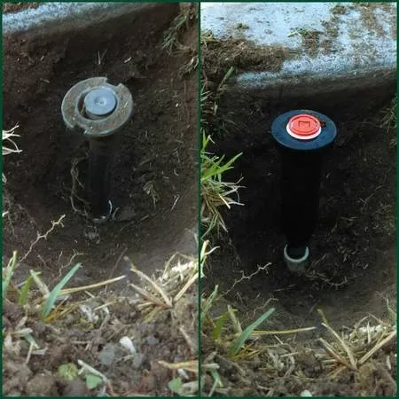 Reliable landscaping services experts serving Fresno, CA - Saving Green