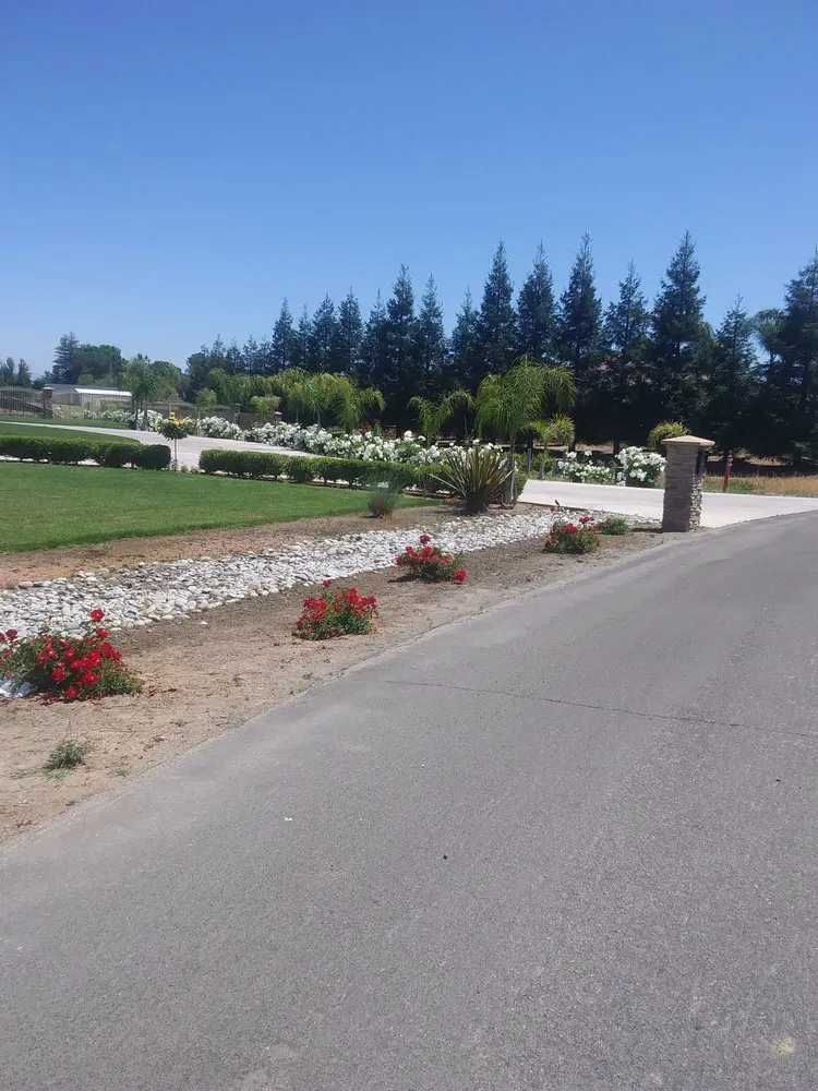 Professional garden landscaping in Grover Beach, CA - Saving Green