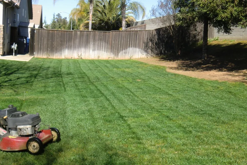 Trusted garden landscaping in Grover Beach, CA by Saving Green