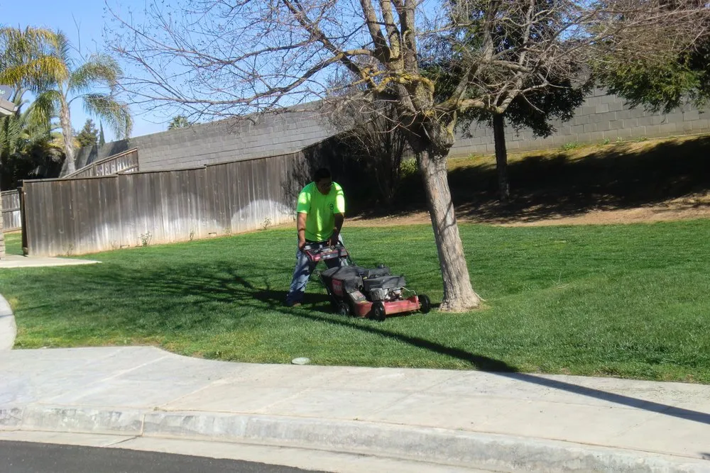 Reliable landscape design with custom design across Grover Beach, CA - Saving Green