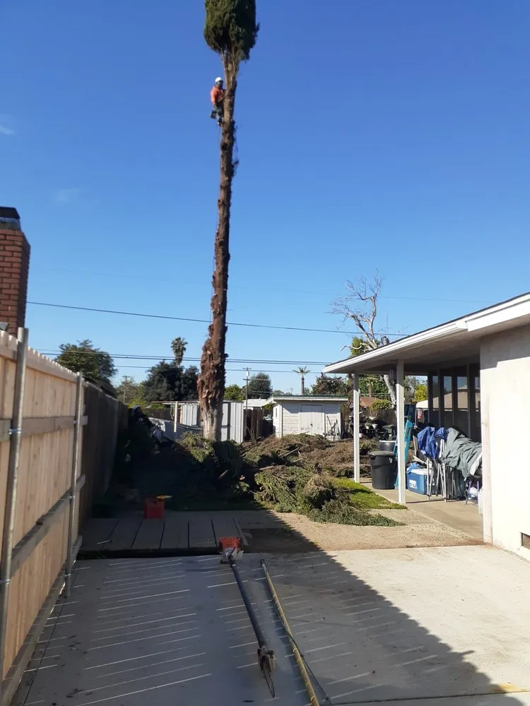 Professional outdoor landscaping experts serving Grover Beach, CA - Saving Green