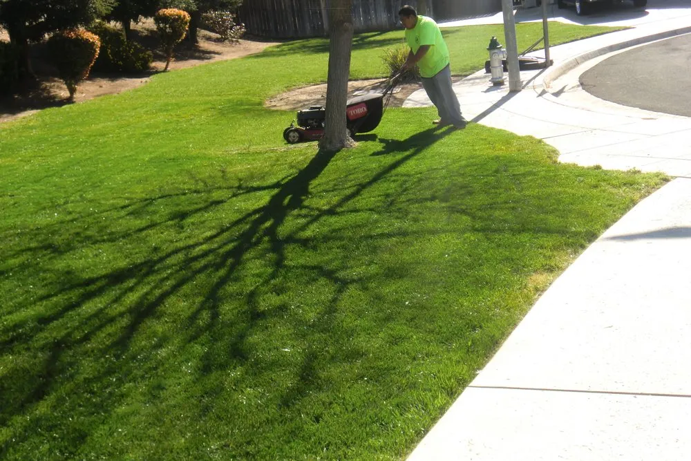 Reliable yard maintenance with custom design across Grover Beach, CA - Saving Green