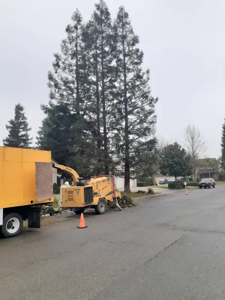 Reliable landscape design near you across Grover Beach, CA - Saving Green