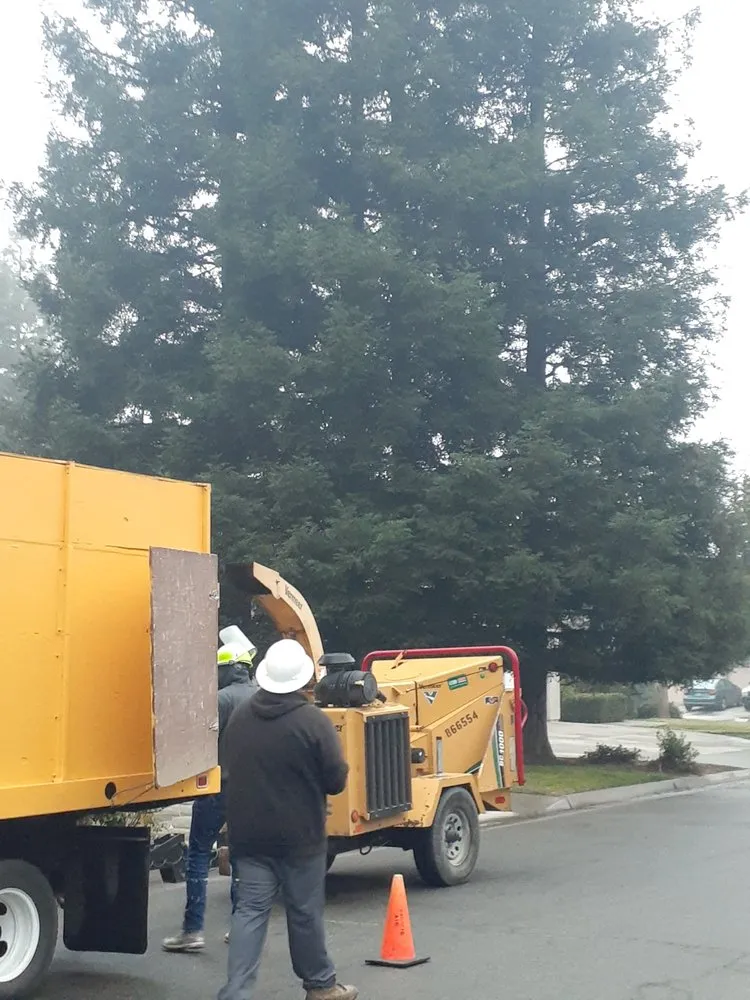 Trusted lawn mowing service experts serving Grover Beach, CA - Saving Green