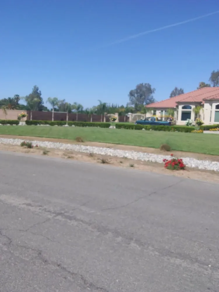 Affordable lawn care service experts serving Grover Beach, CA - Saving Green