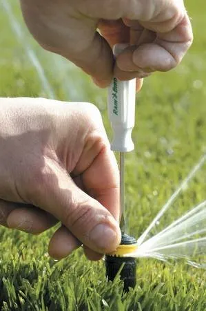 Professional yard maintenance experts serving Grover Beach, CA - Saving Green