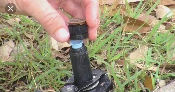 Expert lawn care service experts serving Grover Beach, CA - Saving Green