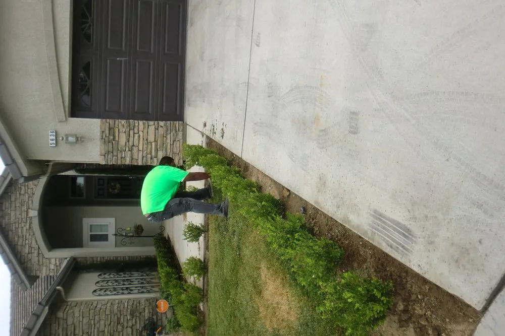 Local outdoor landscaping for year-round maintenance across Grover Beach, CA - Saving Green