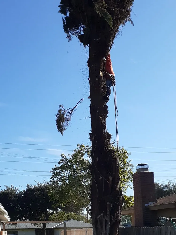 Top-rated garden landscaping in Grover Beach, CA - Saving Green