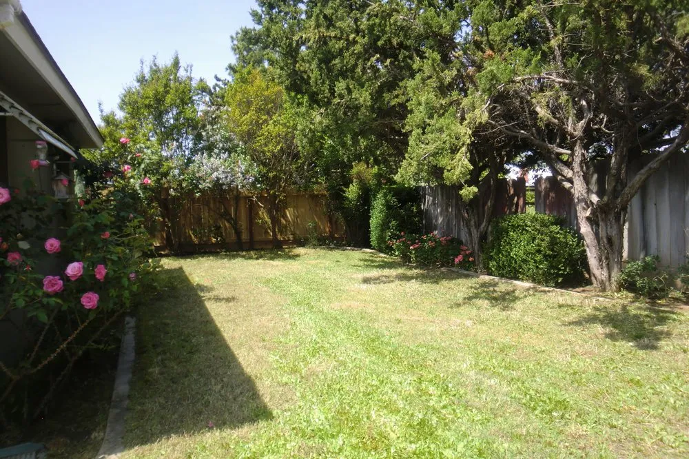 Top-rated yard maintenance in Grover Beach, CA - Saving Green