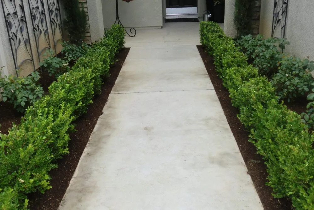 Affordable lawn mowing service in Grover Beach, CA - Saving Green