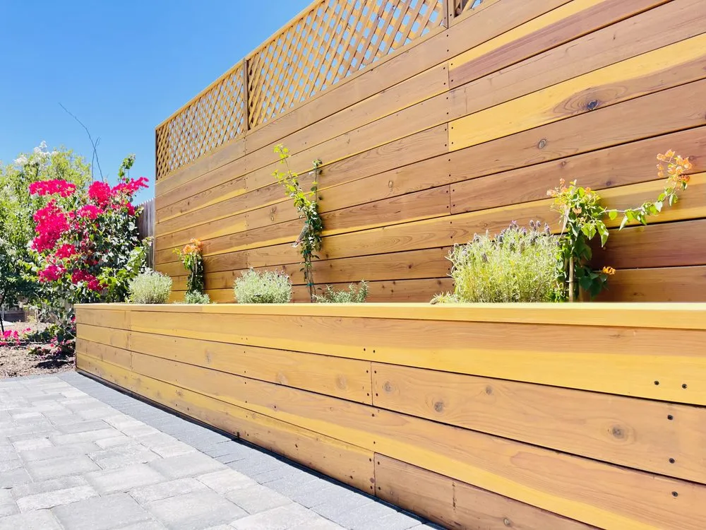 Professional yard cleanup service in Visalia, CA by Saving Pro Landscaping