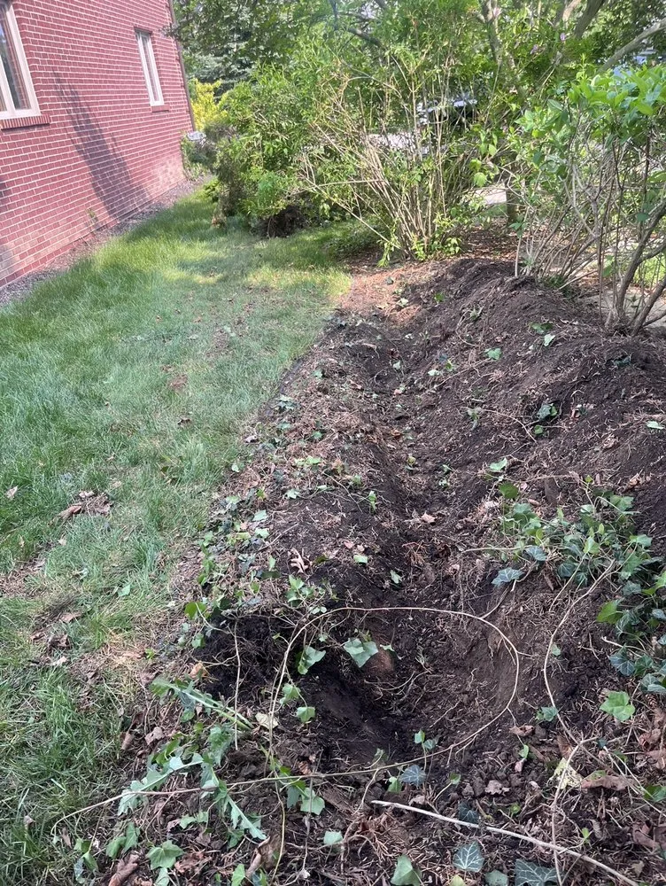 Professional lawn care service experts serving Northville, MI - Savior Landscaping, Lawncare and Snow