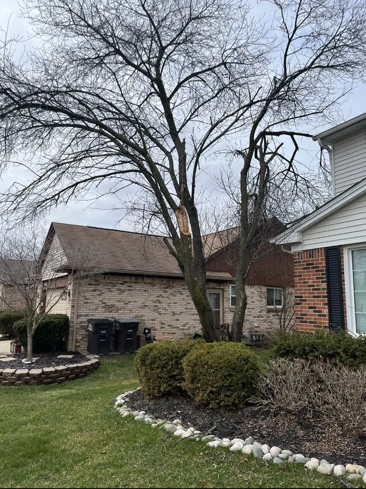 Top-rated outdoor landscaping for residential properties in Northville, MI by Savior Landscaping, Lawncare and Snow