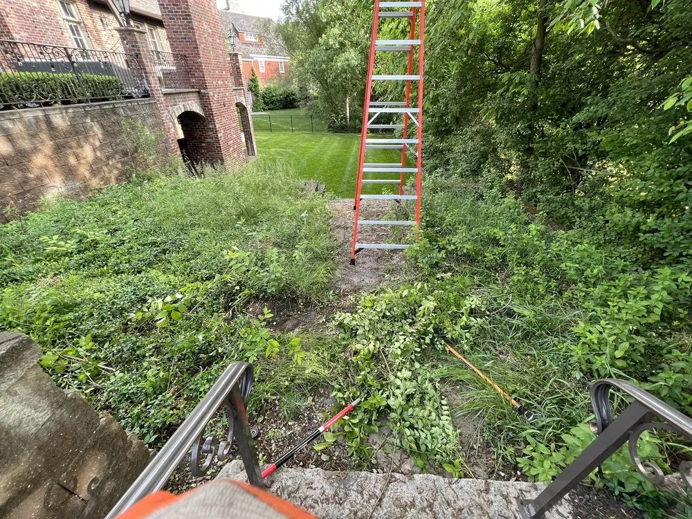 Trusted lawn mowing service experts serving Northville, MI - Savior Landscaping, Lawncare and Snow