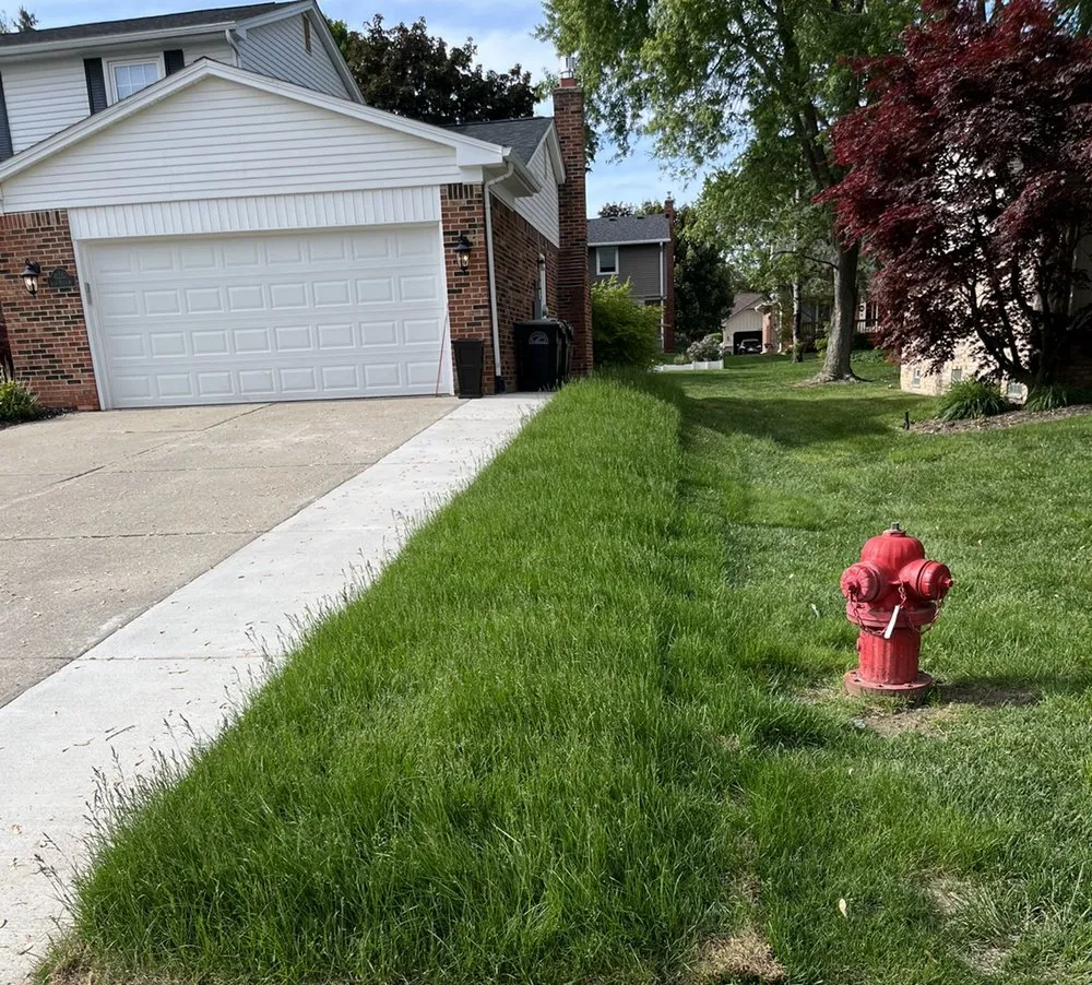 Expert yard cleanup service in Northville, MI - Savior Landscaping, Lawncare and Snow
